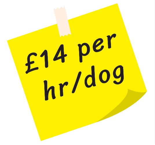 imageedit_3_2968048898 From £13 per hour per dog