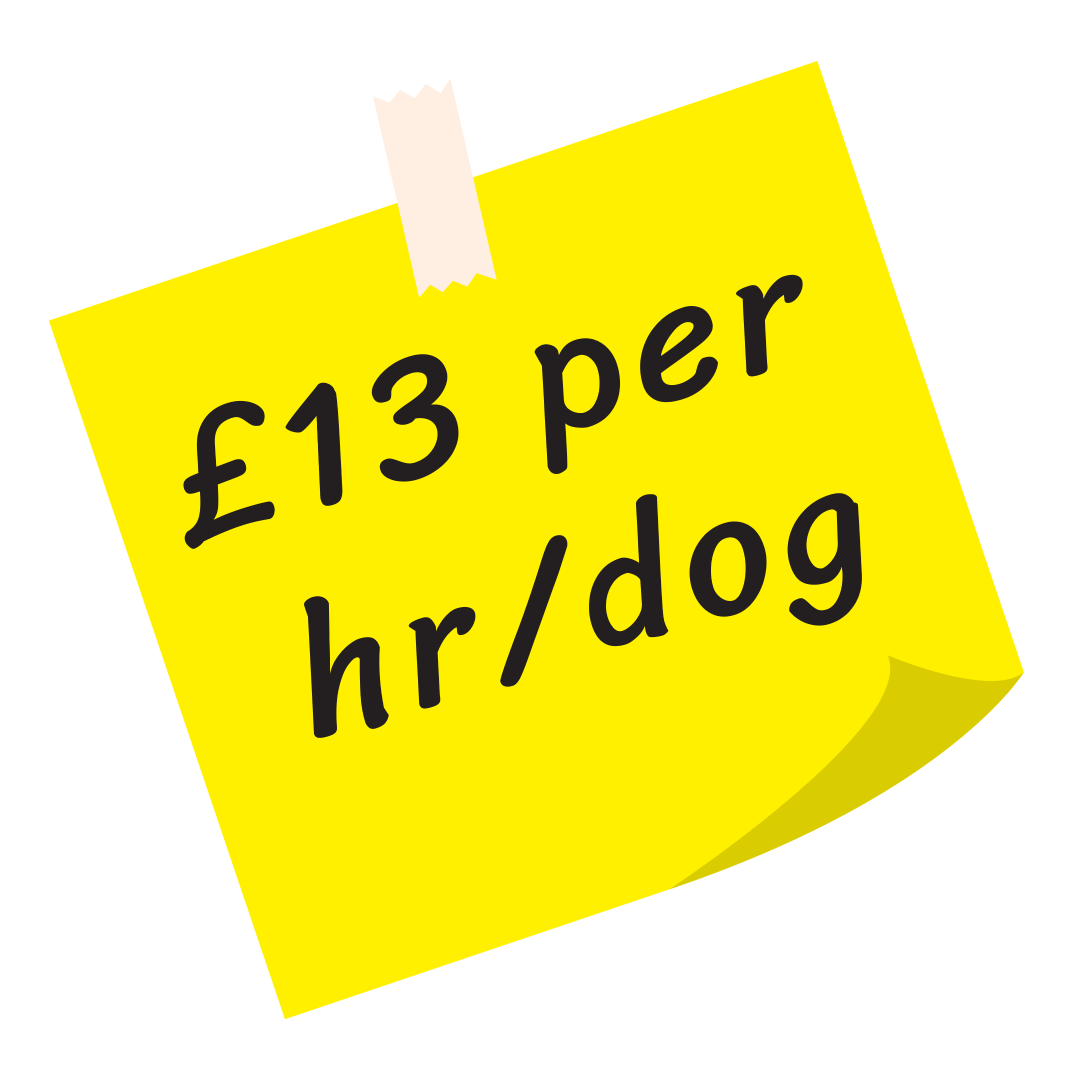 From £13 per hour per dog