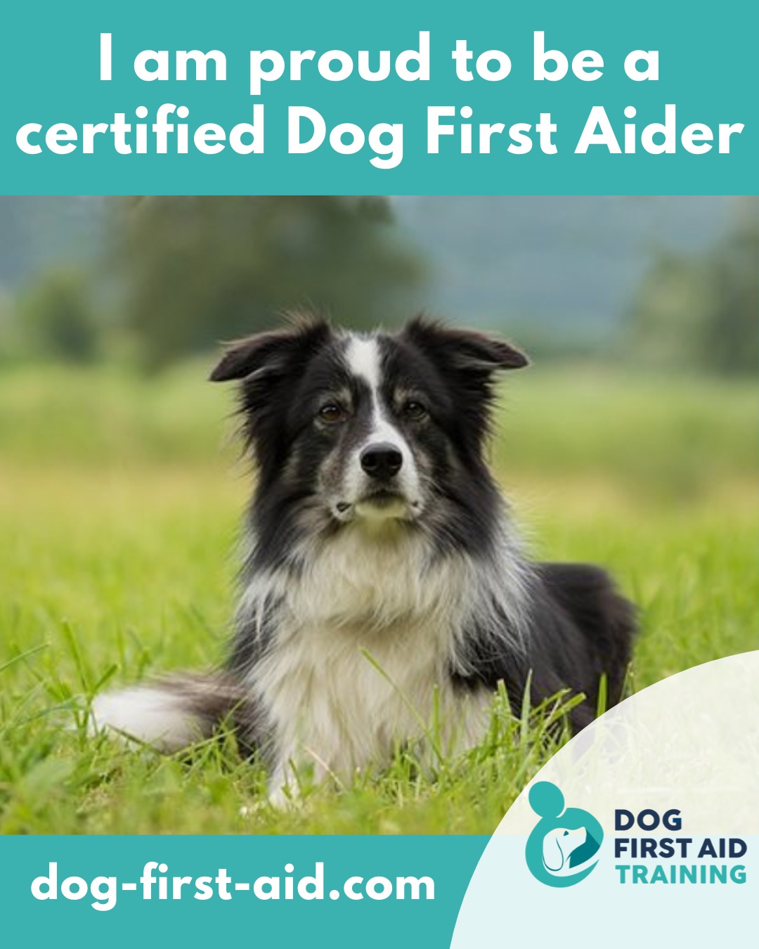 walk my dog brighton and hove (1) From £13 per hour per dog